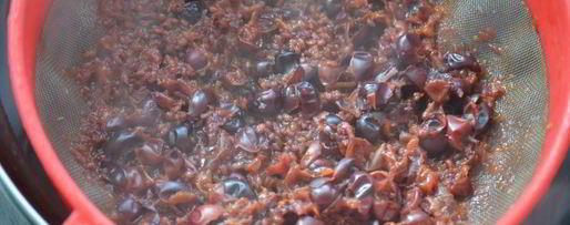 Шаг 1: киселя домашнего