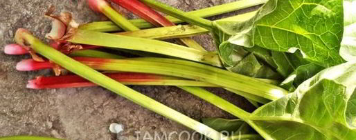 Шаг 1: киселя из ревеня