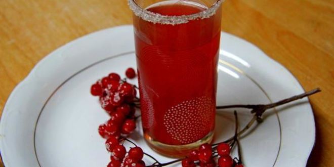 Рецепт киселя калиново-айвовый с бадьяном