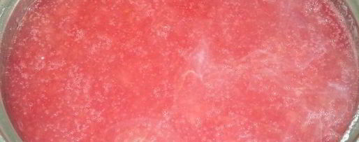 Шаг 10: сливового киселя