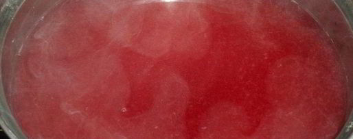 Шаг 7: сливового киселя