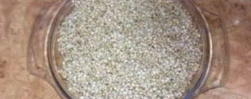 Шаг 2: коктейля из пророщенных зерен гречихи