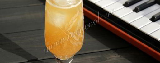 Шаг 8: коктейля вивальди