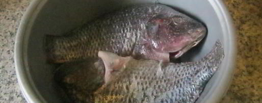 Шаг 1: рыбы в сливочном масле с вином и чесноком