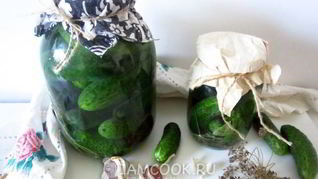 Рецепт Огурцов квашеных с водкой