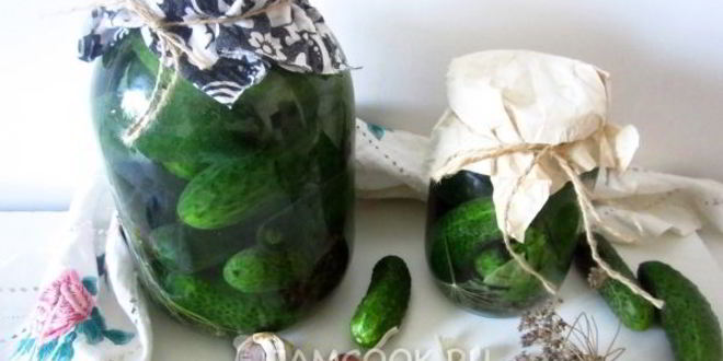 Рецепт огурцов квашеных с водкой