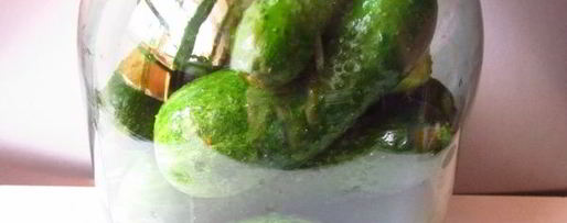 Шаг 4: огурцов квашеных с водкой