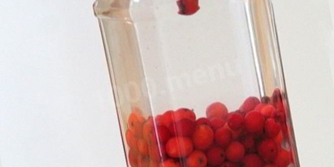 Рецепт водки на рябине