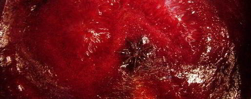 Шаг 2: желе из красной смородины с водкой