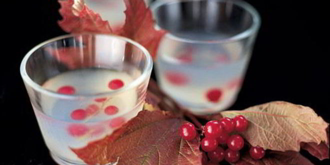 Рецепт желе с водкой и ягодами