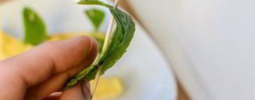 Шаг 8: желе с водкой