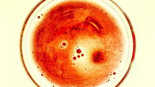 Рецепт Белого домашнего кваса