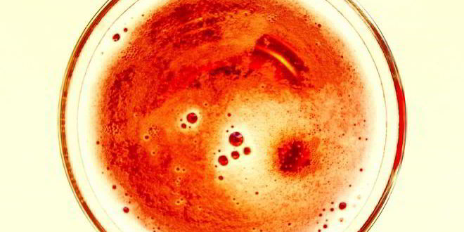 Рецепт белого домашнего кваса