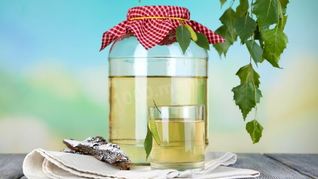 Рецепт Березового кваса с корой березы