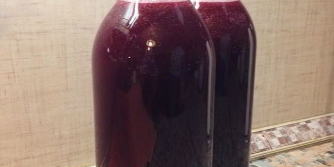 Рецепт черничного кваса