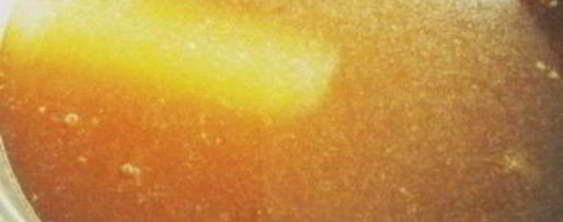 Шаг 2: кваса из белого хлеба