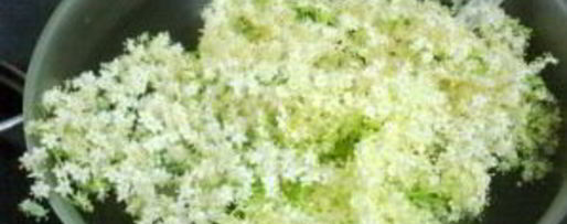 Шаг 2: кваса из бузины