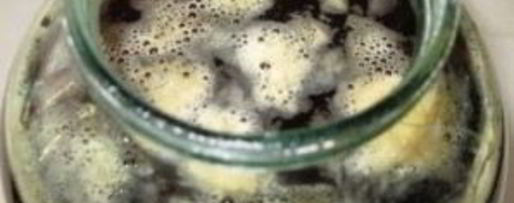 Шаг 4: кваса из концентрата