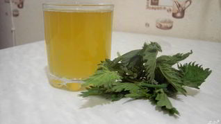 Рецепт Кваса из крапивы