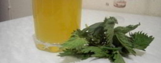 Шаг 2: кваса из крапивы