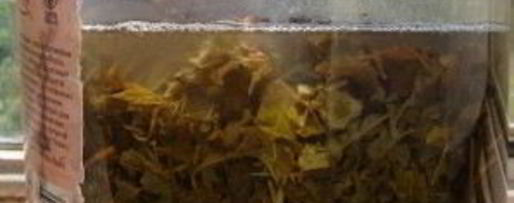 Шаг 3: кваса из виноградных листьев