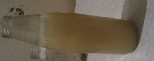 Шаг 3: кваса хлебного