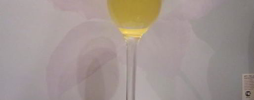 Шаг 8: домашнего ликера куантро