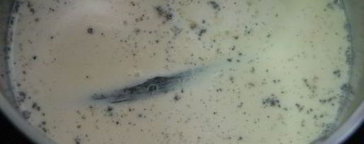 Шаг 1: какао крем-ликер со вкусом ванили