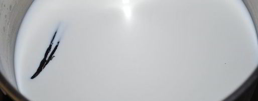 Шаг 5: крема-ликера limoncino