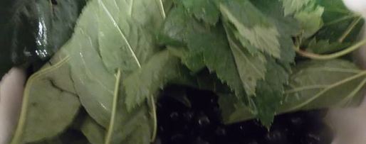 Шаг 1: ликера арника