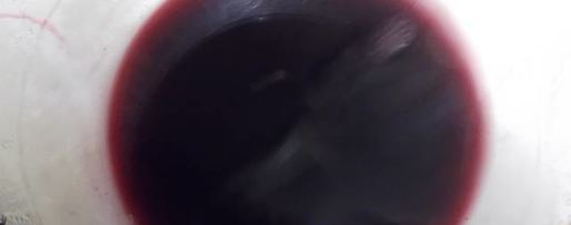 Шаг 4: ликера арника