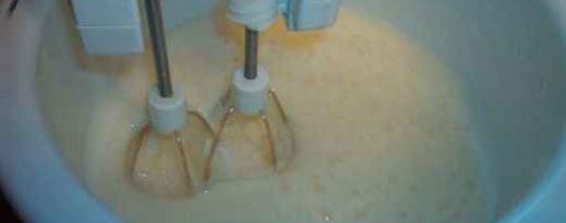 Шаг 8: ликера дикое молоко бешеной коровки