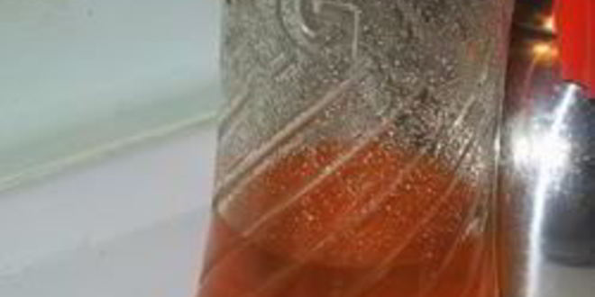 Рецепт ликера галлиано