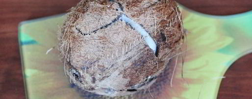 Шаг 4: ликера кокосового