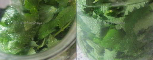 Шаг 1: мятного ликера