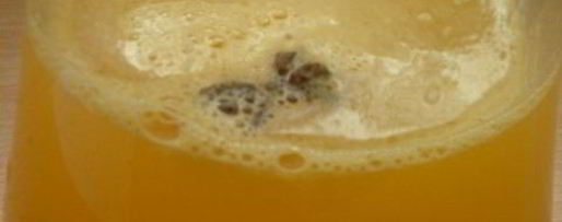 Шаг 3: оранчеллоликера апельсино-мандариновый