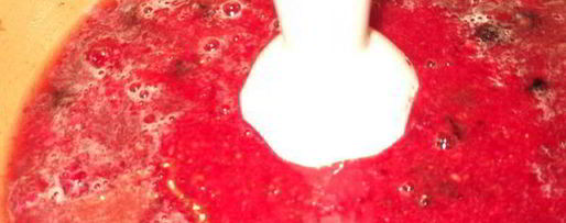 Шаг 1: ягодно-сливочного ликер дамский каприз