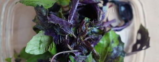 Шаг 3: базиликового лимонада