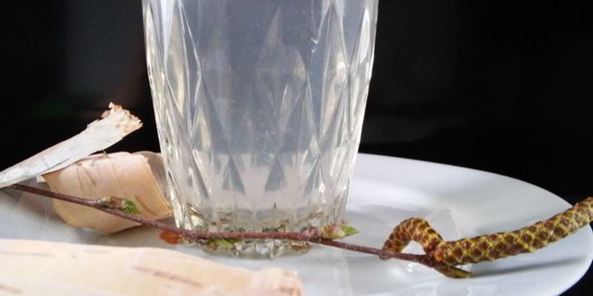 Рецепт лимонада из березового сока