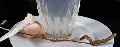 Шаг 4: лимонада из березового сока