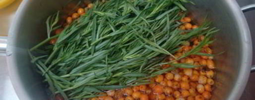 Шаг 2: лимонада из тархуна и облепихи