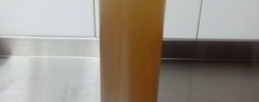 Шаг 5: лимонада из тархуна и облепихи