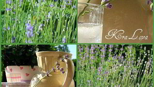 Рецепт Лимонада с лавандой