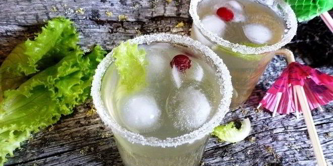 Рецепт лимонада свежесть из листьев салата