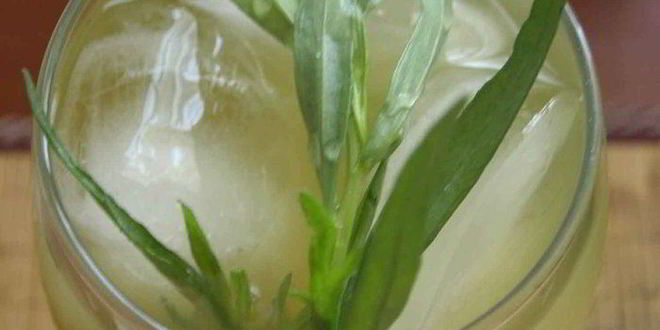 Рецепт лимонада тархун