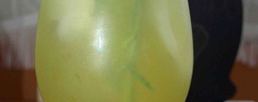 Шаг 5: лимонада тархун