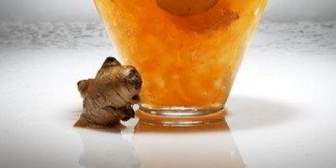 Рецепт замороженного имбирного лимонада