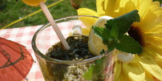 Рецепт дачного мохито