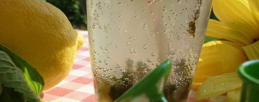 Шаг 5: дачного мохито