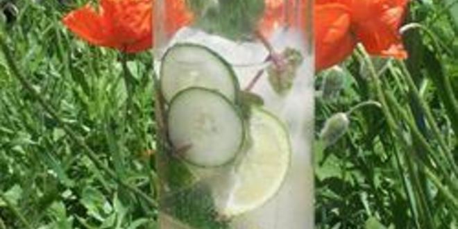 Рецепт мохито с мятой и свежим огурцом